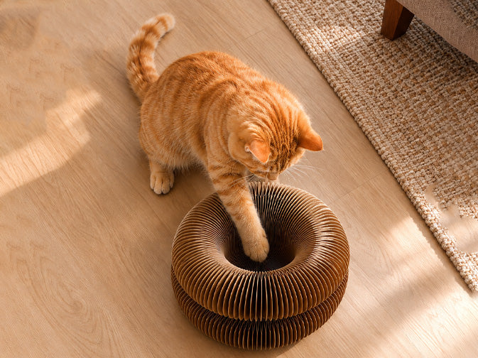 Double-Corrugated and Safe on Paws